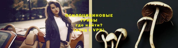 не бодяженный Дмитриев
