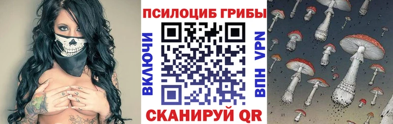 Галлюциногенные грибы Psilocybe  Элиста 